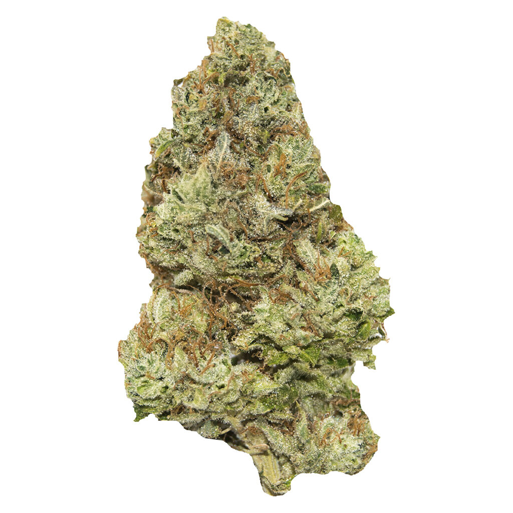 Golden Tangie