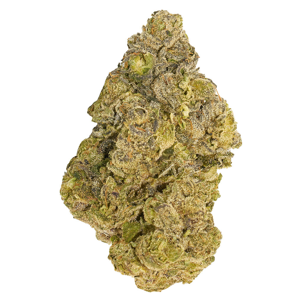 Cherry Ztripez